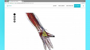 23 reactions | Get 75% Off this weekend only!  We're extending our Memorial Day Sale! ⬇️ ⬇️ https://www.drbeen.com/best-medical-lectures/ Learn advanced medical concepts and earn CMEs from the comfort of home. | Drbeen | Facebook