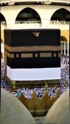 beautiful recitation of holy Quran surah bakra with English translation