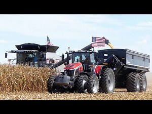 Gleaner T81 Combine in the field Harvesting Corn