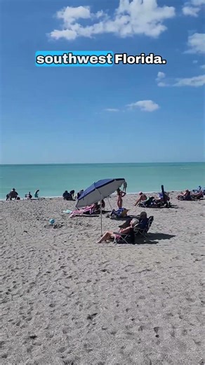 Venice Beach Florida in February - 2026 Peak Season Reality
