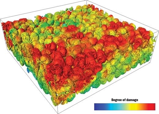 Researchers get most comprehensive view yet of lithium-ion battery electrode damage