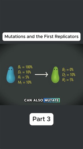 Mutations and the First Replicators #education #biology #evolution #simulation