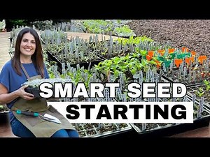 10 Seed Starting Hacks You’ll Wish You Knew Sooner