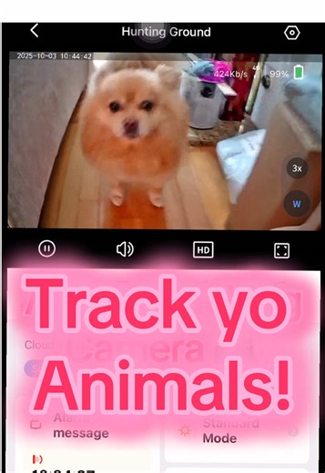 Track yo animals 🐶 Animal tracking camera L4G - Connected Hunting Camera with app control and trigger speed! 📸 #huntingcamera #animalsurveillance #huntingcamera #connectedhuntingcamera #animaltrackingcamera