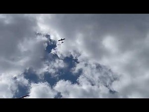 Beineke Hektor mit DLE 85