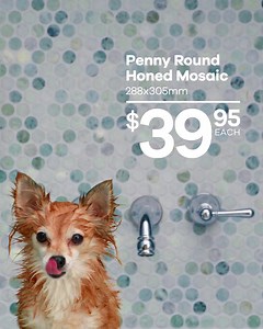 With the lowest prices guaranteed, what's holding you back from creating your dream interior? Now you can with National Tiles. Shop now and get 5 samples delivered for only $9.95. | National Tiles