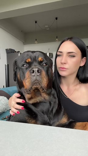 she doesn't even blink 🤣 #rottweiler #rottweilersofinstagram #rottweilerlife #rottweilerpuppy #rottweilerworld #rottweilerpuppies #rottie #dog #dogphotography #doggo #puppies #canecorso #dogsofinstagram #doglover #dogslife #dogtrainer #dogsofinsta #pitbull #bulldog #doberman #puppy #puppylove #puppylife #puppiesofinstagram #puppylovers #Pet #petstagram #petsofinstagram #PetLovers #PetCare | Rottweilerlife