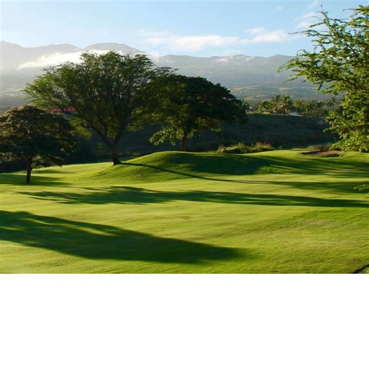 The brand-new 2026 Pro V1x Left Dash is now available at Golfballs․com. Customize it with logos, text, alignment aids, photos, and more using our real-time design tools — only at Golfballs․com. Engineered for more speed, longer distance, and improved short-game spin, Left Dash is built for players who want high speed, low spin, and a higher ball flight, delivering maximum distance with tour-level control. Golfballs․com is your one-stop shop for customized balls and gear from the very best brands