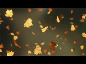 Falling Leaves - HD Free Motion Graphics - Moving Background Loop - Free Download