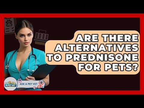 Are There Alternatives To Prednisone For Pets? - Ask A Pet Vet
