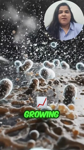 Steel Bottle Me Smell Kyun Aati Hai? Science Explained!