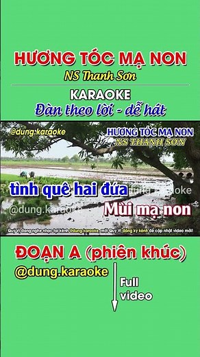 HƯƠNG TÓC MẠ NON #huongtocmanon