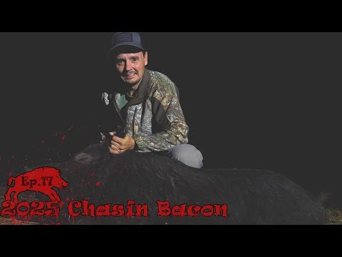 Fastest Hog Hunt I Have Had