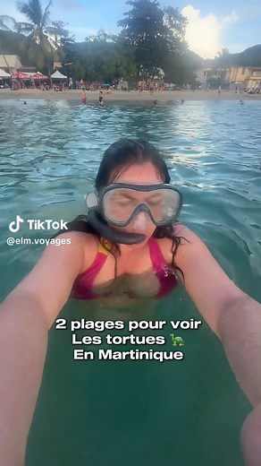 🌴 2 plages pour voir des tortues en Martinique 🐢✨ À enregistrer dans tes favoris ! Si tu veux voir des tortues en Martinique, pas forcément besoin de réserver une excursion 👀 Personnellement, je te conseille plutôt de garder ton budget pour une sortie iguanes ou dauphins 🐬🦎 Parce que les tortues tu peux les voir par toi-même avec juste un masque et un tuba 🤿 📍 Anse-du-Four C’est LA plage la plus connue pour observer les tortues. J’en ai vu deux là-bas : une grande et une petite 🥹 👉 Peti