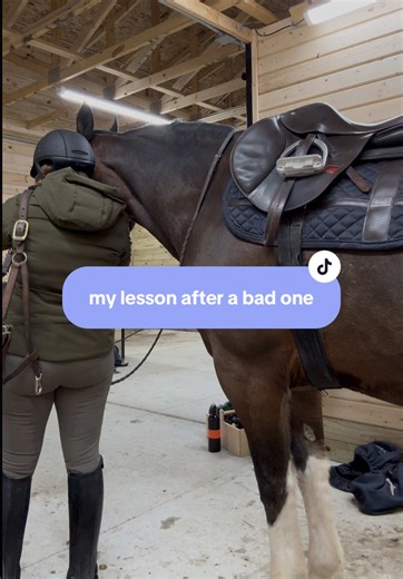 Adult Beginner Rider's Follow-Up Lesson Insights