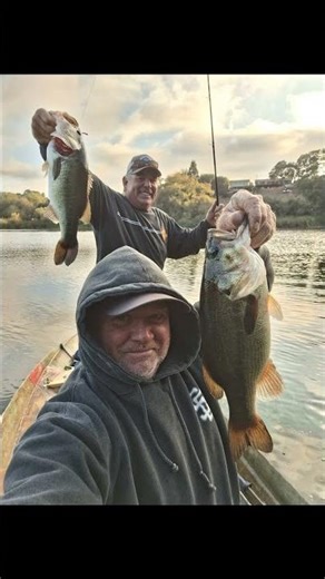 How to Fish a Bird Lure the Right Way | Bass Fishing Tip #topwaterfrog #topwaterstrike