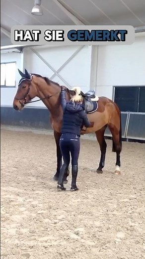 Too much pressure? Here's how your horse can better understand your training.