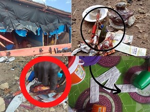 BREAK VIDEO: Juju Items Found At Ashawo Joints As Married Women Jubilate After Area Demolished | Asonaba TV