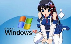【HD】Windows XP Crazy Error