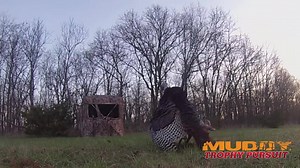 11K views · 127 reactions | Are you ready for spring yet? Check out...