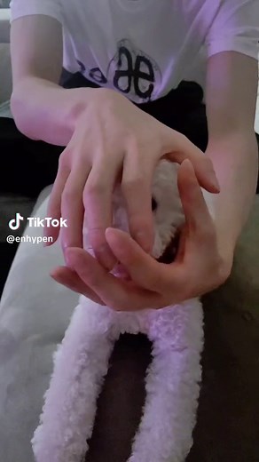 Enhypen Sunghoon's Puppy Moments Compilation 🐾 #SUNGHOON #ENHYPEN