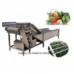 [Hot Item] Multifunctional Commercial Vegetable Fruit Washing Machine