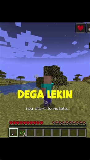 Do Not Open This locket