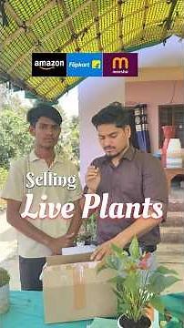 How to sell #liveplants online on meesho, flipkart and amazon?