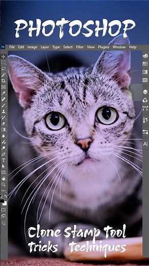 Adobe Photoshop 2025 – Clone Stamp Tool Tricks & Techniques