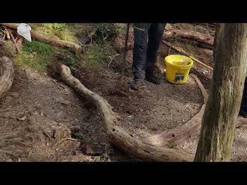 Building Durable Trails with Branch & Aggregate