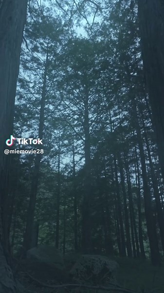 三重県の魅力的な風景を探る