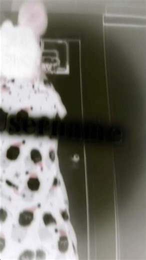 I’m the best mini hoop player