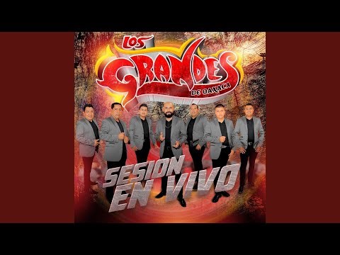 Los Casquillos de Mi Cuerno (En Vivo)