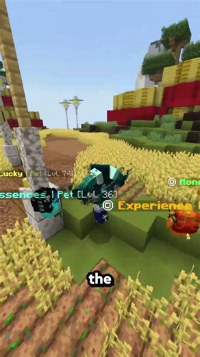 This OneBlock server is pay to win… kinda