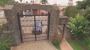 El Árbol VAQUEROS musical Tosca music Entertainment 🇱🇷🇲🇽 | Tosca Music Entertainment