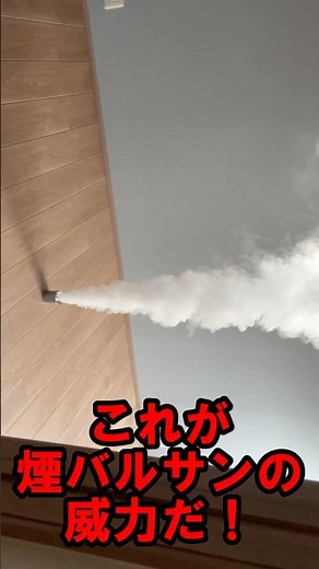 これがバルサンの威力だ！ぷしゃー #掃除 #diy #引っ越し