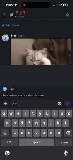 Angry Kitty. Happy Kitty. Meow Meow Meow #cat #kitty #meow #love #angry