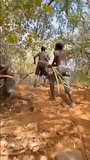 African Hunting Adventure | Real Tribal Hunting & Wildlife Survival