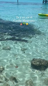 Visita Parque Garrafón y disfruta del paraíso de Isla Mujeres☀️🌴 #islamujeres #vacaciones #caribemexicano | Garrafon Park