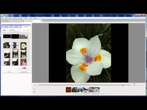 How to make a Video from Picasa
