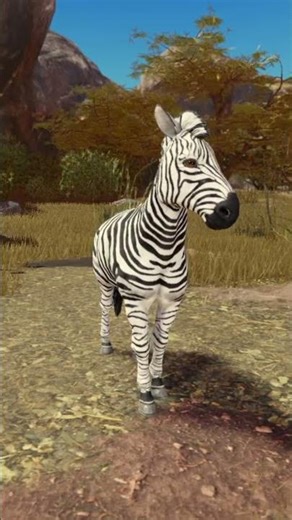Zebra in Roblox