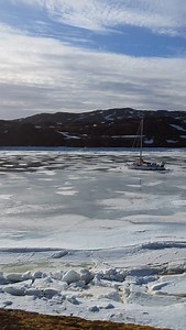 1K reactions · 17 shares | When you're trying to take a nice peaceful evening walk but Nova and @sohvimiinajuliaana decide to compete at howling (turn sound on) | Alluring Arctic | Facebook