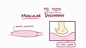 Video: Muscular dystrophy - Video Explanation! | Osmosis | Osmosis