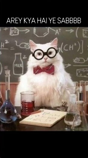 #funny #round2hell #memes #roundtwohell #comedy #round2hellround #cat