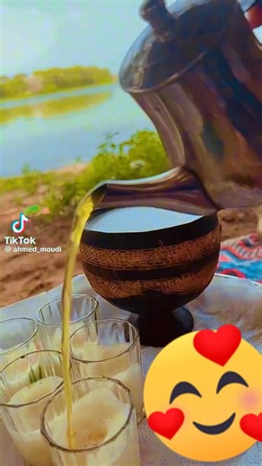 Hamza Cheikh on TikTok