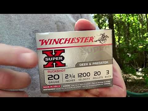 Testing Buckshot for Youth Hunters! 20 Gauge...
