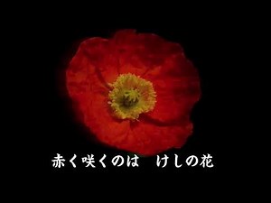 【最短昭和歌謡】圭子の夢は夜ひらく（藤圭子）1970年