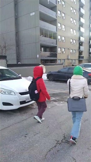 Vlog #Canada #Toronto #Snow #Snowfall #Winter #Sprinter #Summer