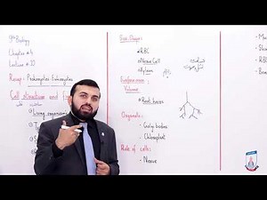 Class 9 - Biology - Chapter 4 - Lecture 10 Cell structure & Function - Allied Schools