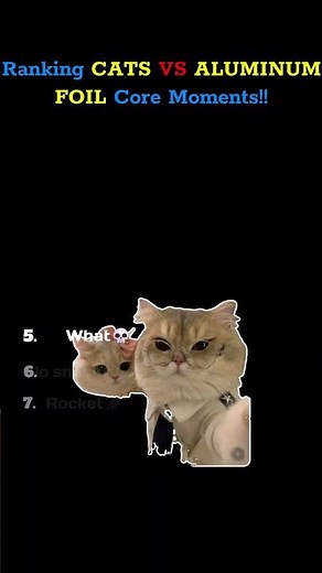 Ranking every cat's reaction to foil 😹 #catshorts #funny